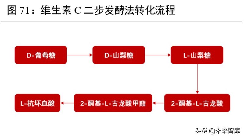 营养品定制选购指南——您的专属健康计划书